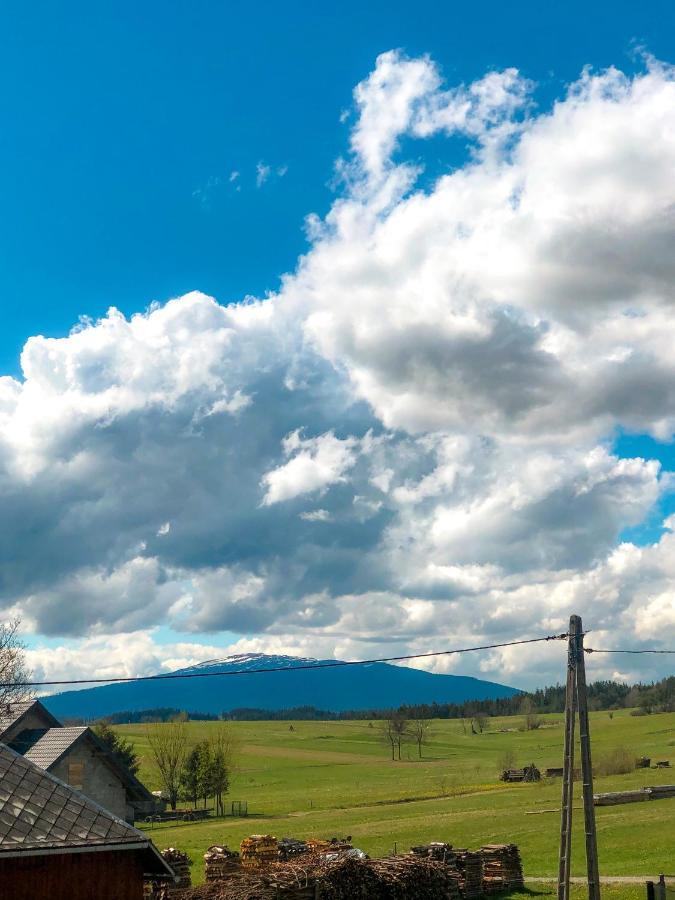 Podwilk Agroturystyka Kasiaヴィラ エクステリア 写真